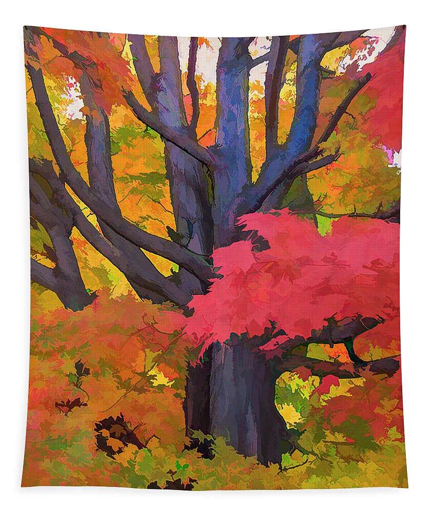 Tree Tapestry featuring the photograph Red Maple Frosting 3 by Ginger Stein