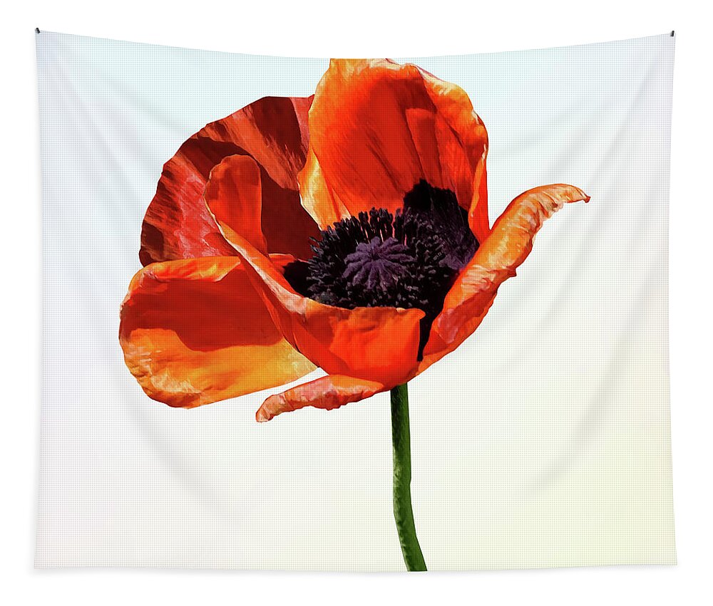 Poppy Tapestry featuring the photograph Red Poppy in Sunshine by Susan Savad