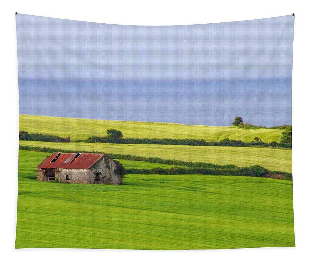 Barley Tapestry featuring the photograph Red Roof Green Fields by Mark Callanan