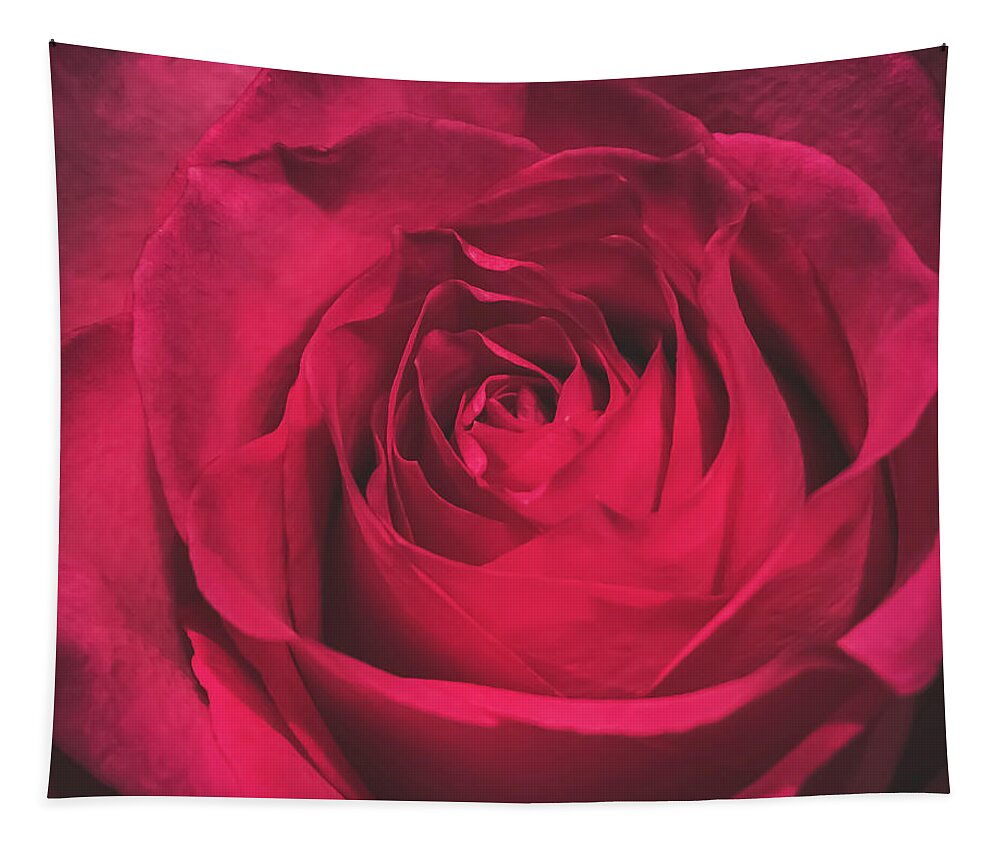 Red Tapestry featuring the photograph Red Rose by Anamar Pictures