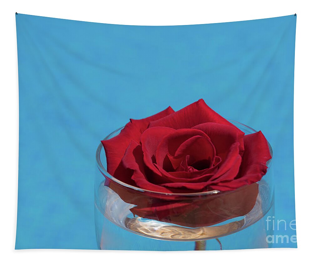Red Rose Tapestry featuring the photograph Red rose blossom and blue water by Adriana Mueller