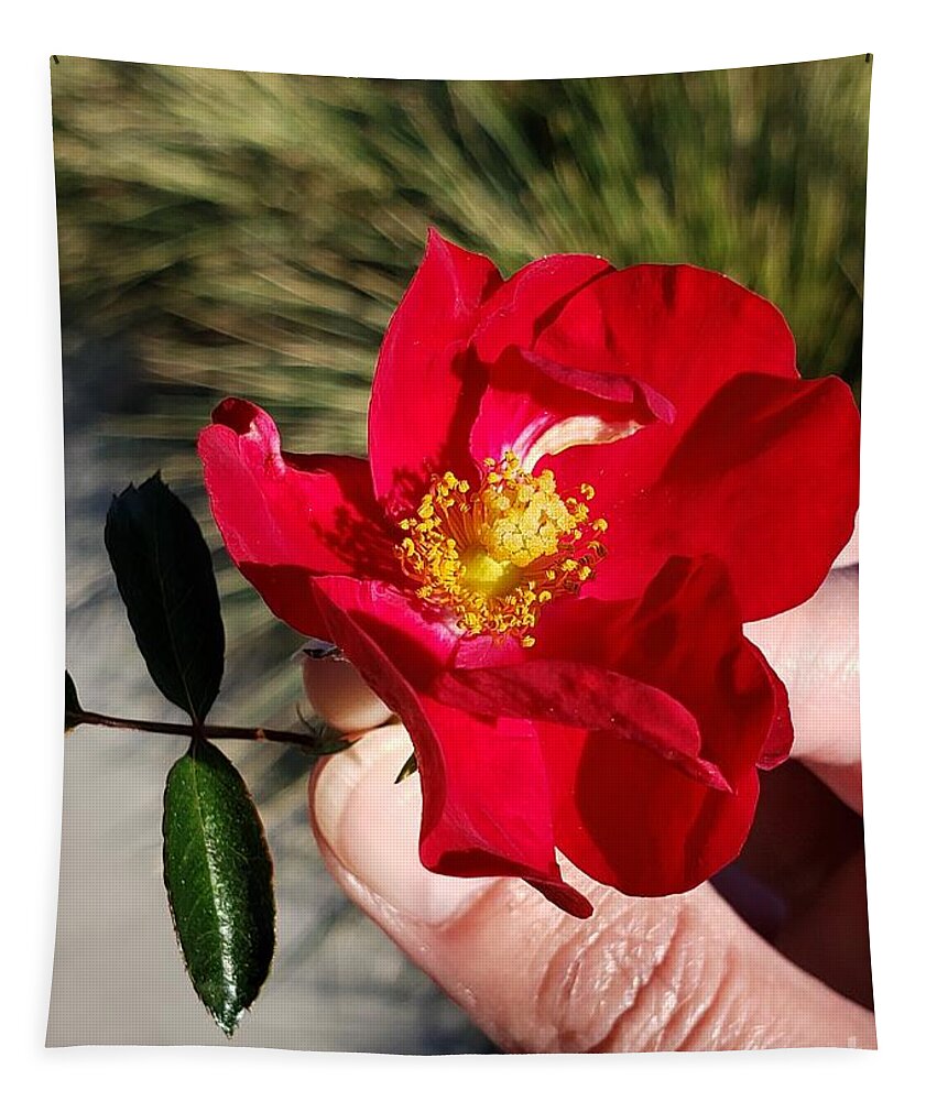 Red Tapestry featuring the photograph Red Rose Of Love by Dipali Shah