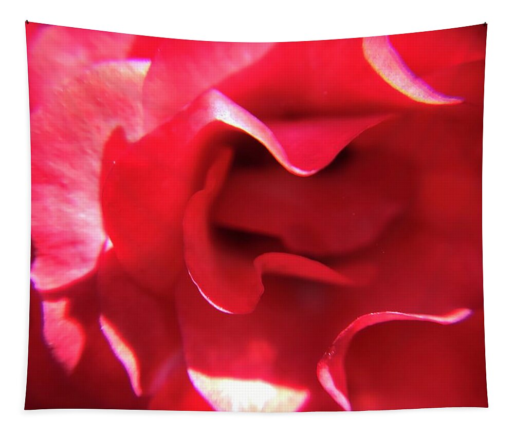 Red Rose Tapestry featuring the photograph Red Rose by Vivian Aumond