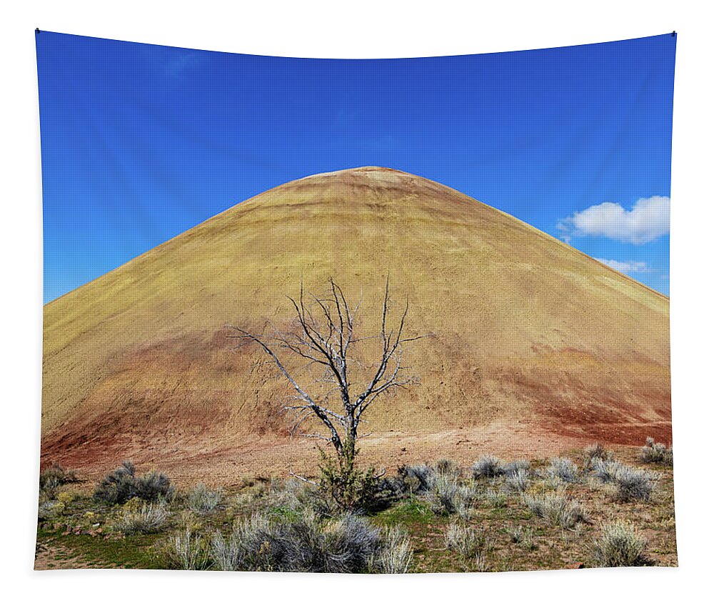 Painted Hills Tapestry featuring the photograph Red Scar Knoll Trail, Painted Hills Oregon 3 by Aashish Vaidya
