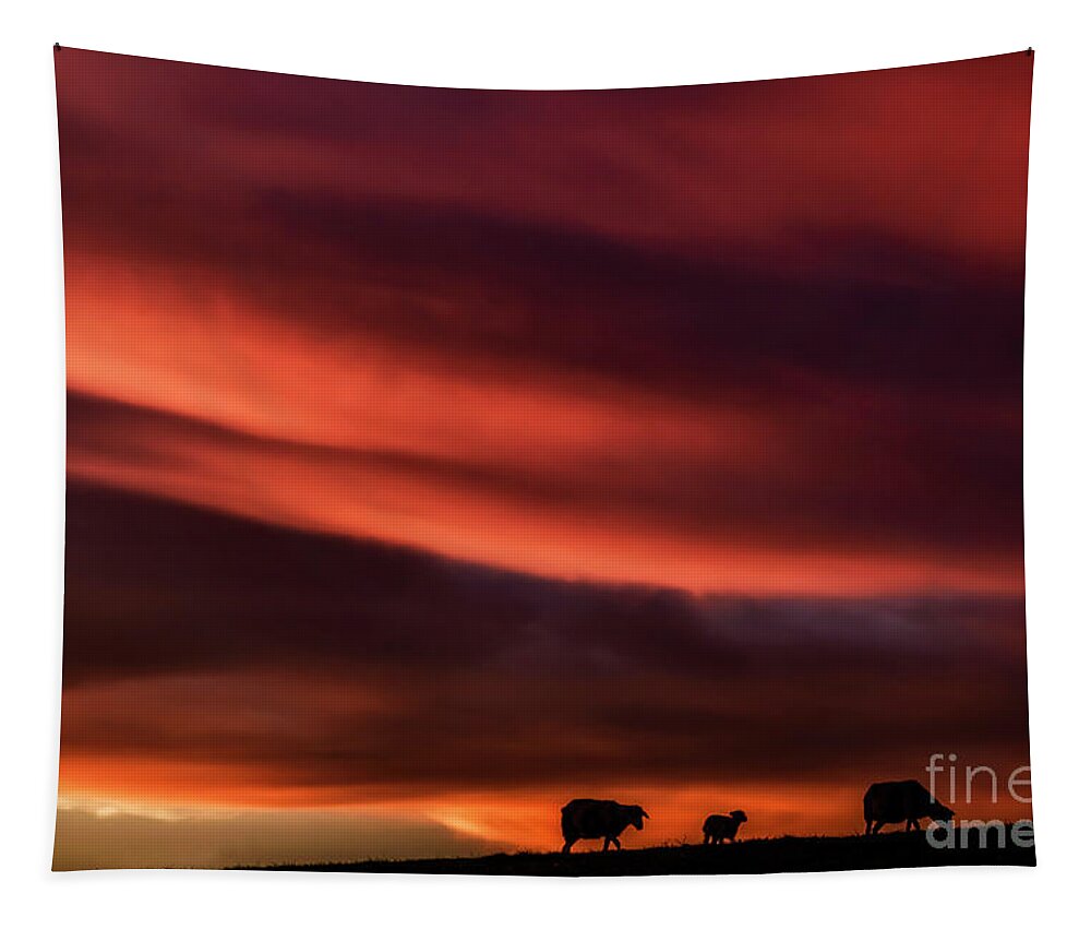 Sunrise Tapestry featuring the photograph Red Sky and Lowering by Thomas R Fletcher