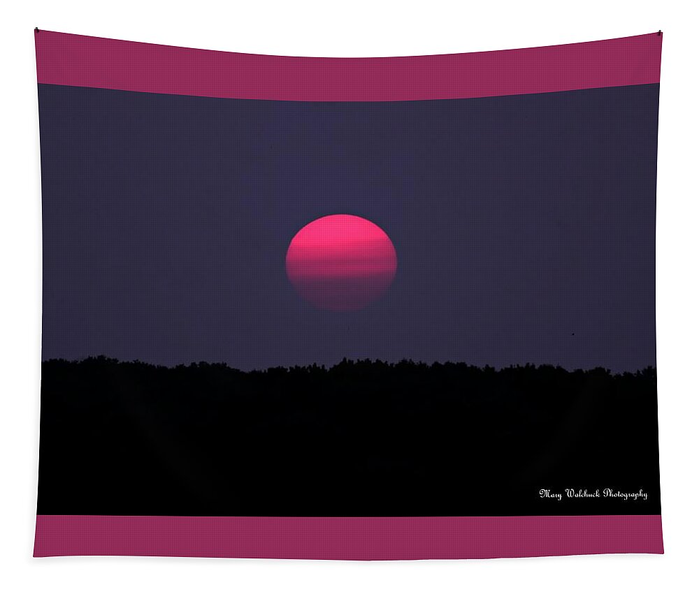 Sunset Tapestry featuring the photograph Red Sun Sunset by Mary Walchuck