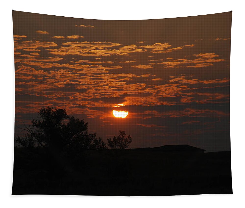 Red Tapestry featuring the photograph Red Sunrise by Vallee Johnson