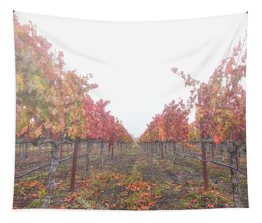 Farming Tapestry featuring the photograph Red Vines In The Fog by Jonathan Nguyen