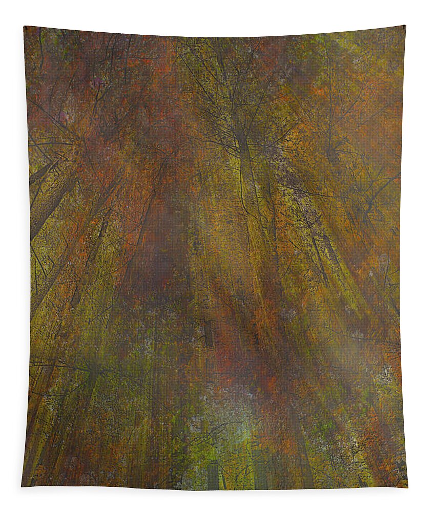 Forest Tapestry featuring the photograph Red Weir by Cynthia Dickinson