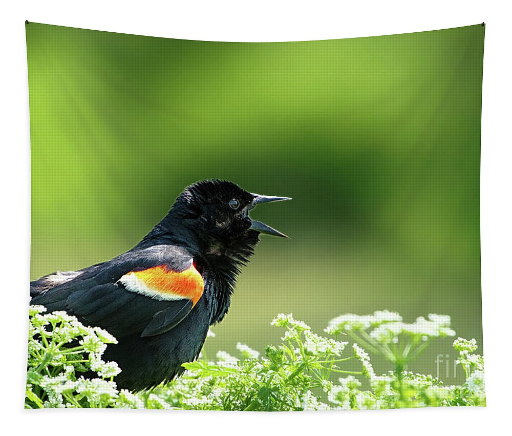 Red Winged Blackbird Tapestry featuring the photograph Red Winged Blackbird trills by Rehna George