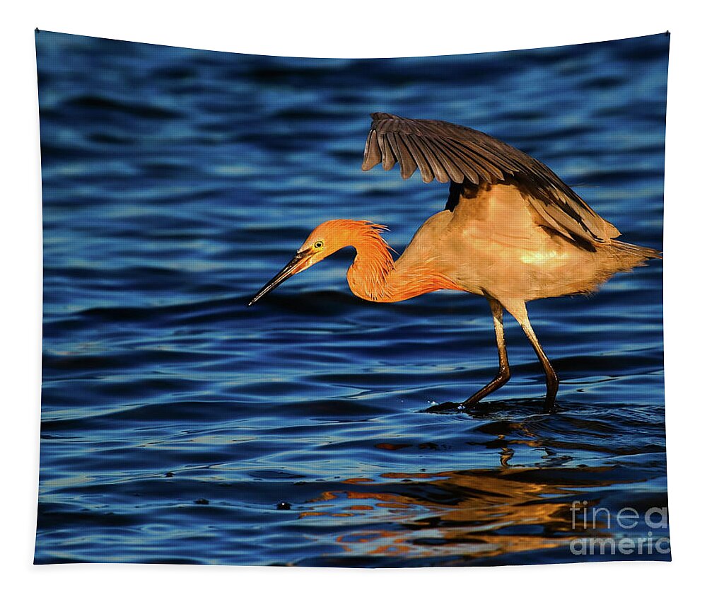 Reddish Egret Tapestry featuring the photograph Reddish Egret Canopy In Blue by John F Tsumas