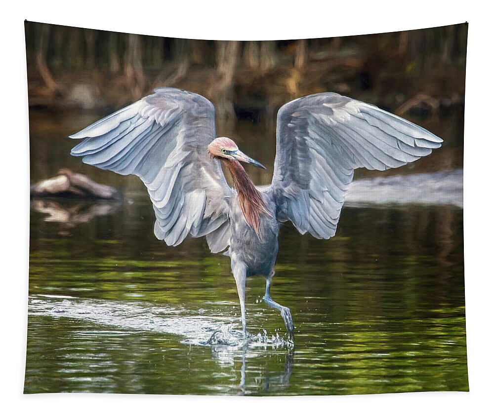 Reddish Egret Tapestry featuring the photograph Reddish Egret with TUDE by Jaki Miller