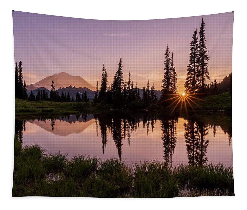 Mount Rainier Tapestry featuring the photograph Reflection at Lake Tipsoo by Arthur Oleary