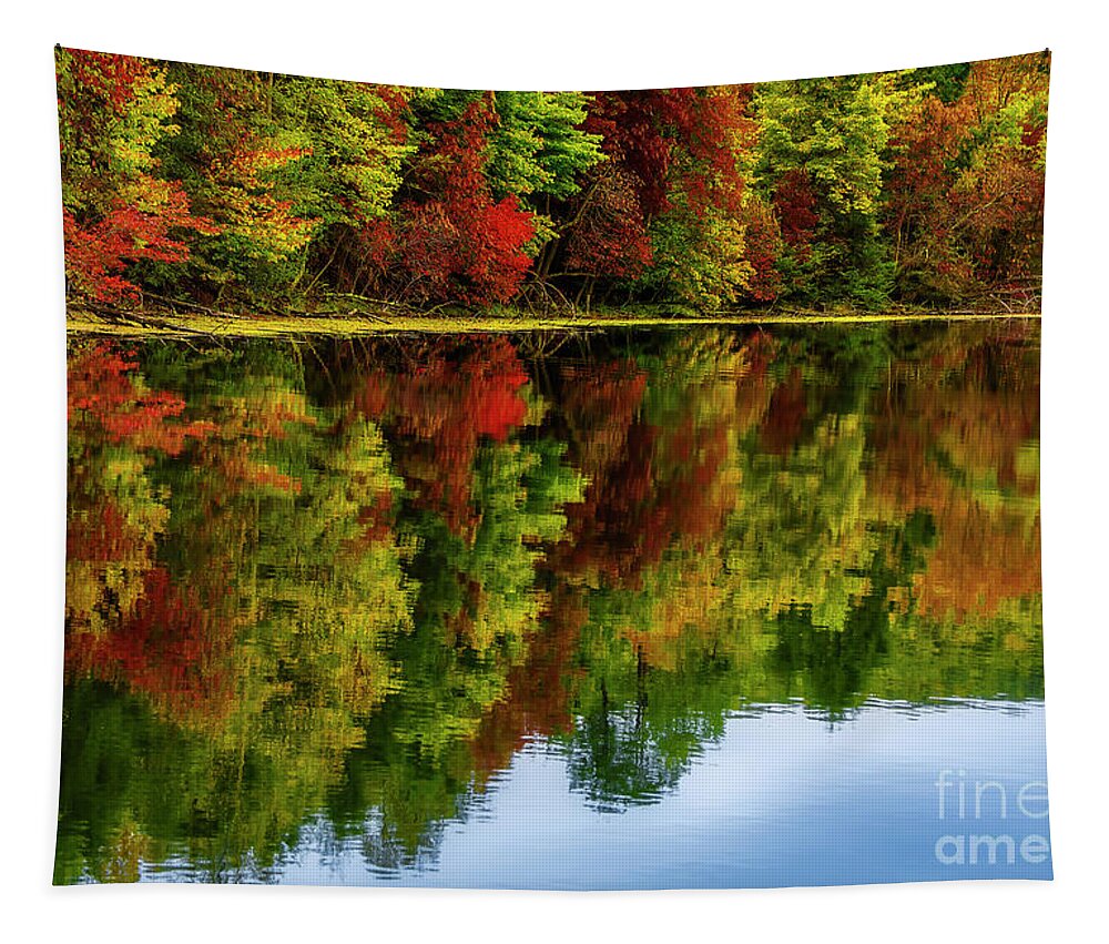 Reflection Tapestry featuring the photograph Reflections at Bays Mountain by Shelia Hunt