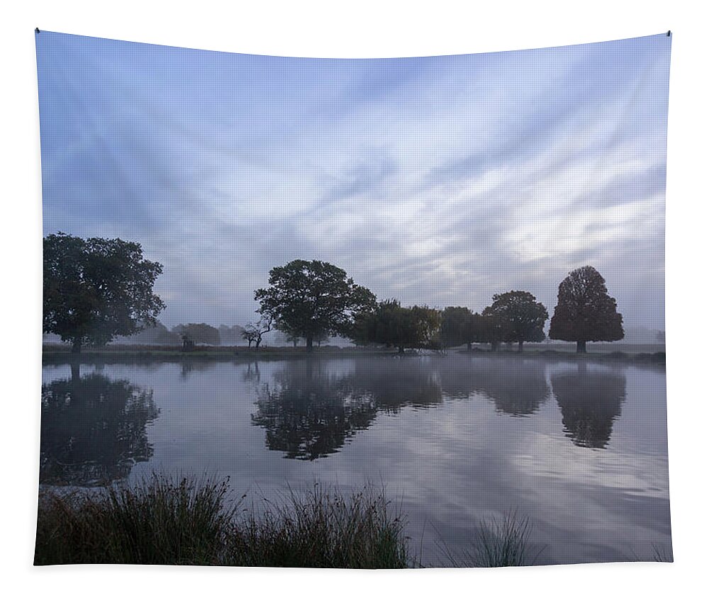 Reflections Tapestry featuring the photograph Reflections in Bushy by Andrew Lalchan