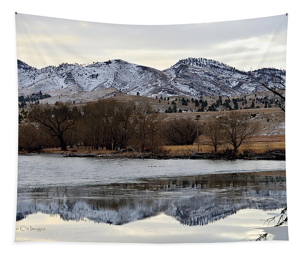 Snow Tapestry featuring the photograph Reflections In Icy Waters by Kae Cheatham