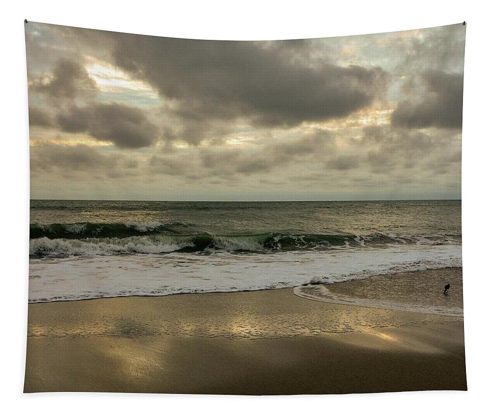 Florida Beach Tapestry featuring the photograph Reflections in the Sand by Deb Beausoleil