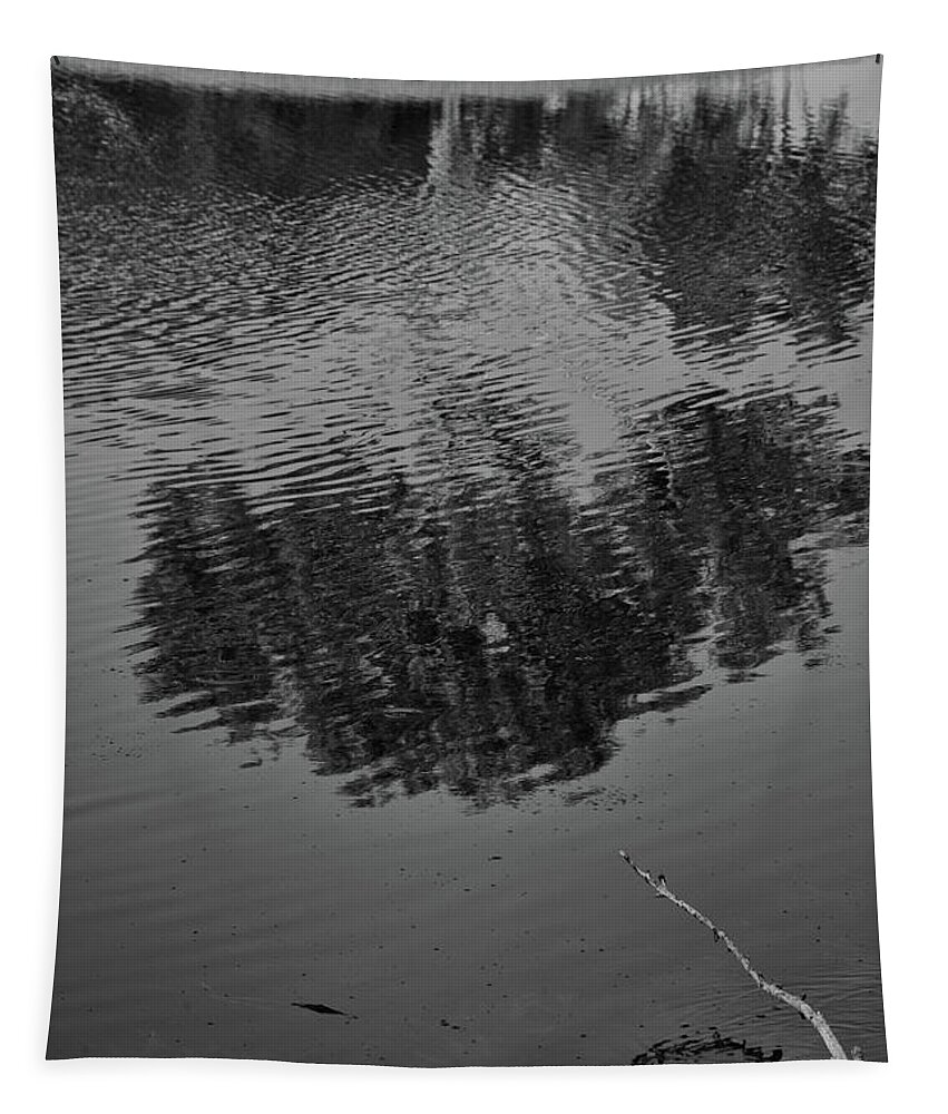 Tree Tapestry featuring the photograph Reflections of a tree by Alan Goldberg