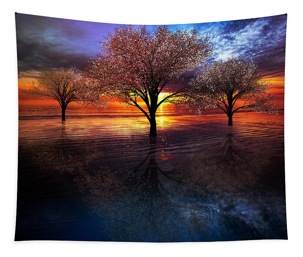 Clouds Tapestry featuring the photograph Reflections of Color Nightfall by Debra and Dave Vanderlaan