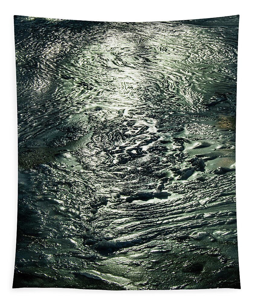 Reflection Tapestry featuring the photograph Reflections on Ice by Craig A Walker