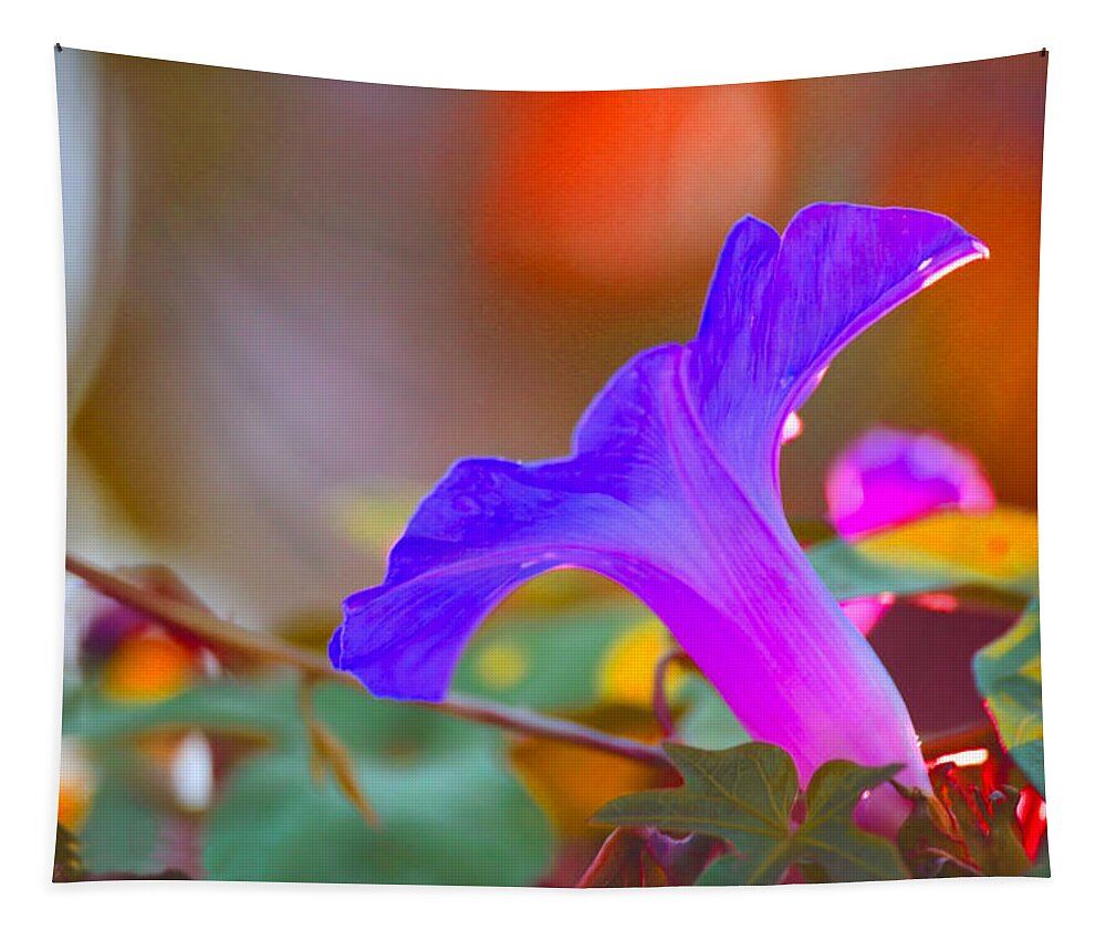 Flowers Tapestry featuring the photograph Regal Violet by Montez Kerr