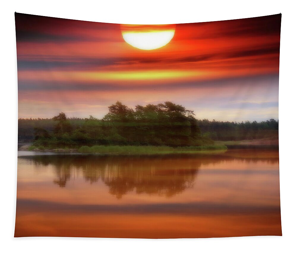 Dreamland Tapestry featuring the photograph Relaxing In Dreamland by Johanna Hurmerinta