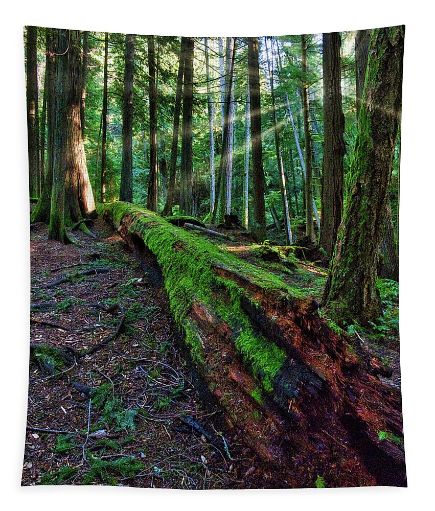 Landscape Tapestry featuring the photograph Restful Light by Allan Van Gasbeck