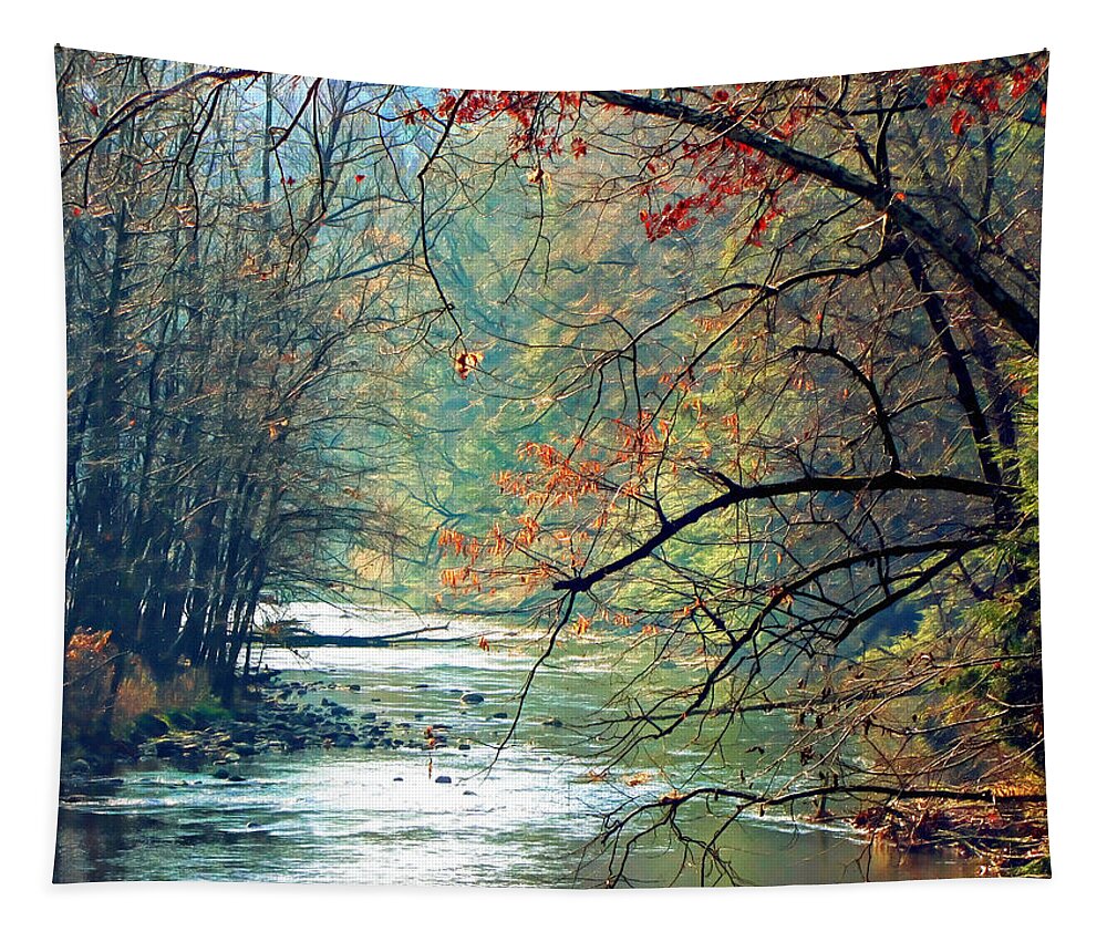 Creek Tapestry featuring the photograph Return to Serenity by Susan Hope Finley