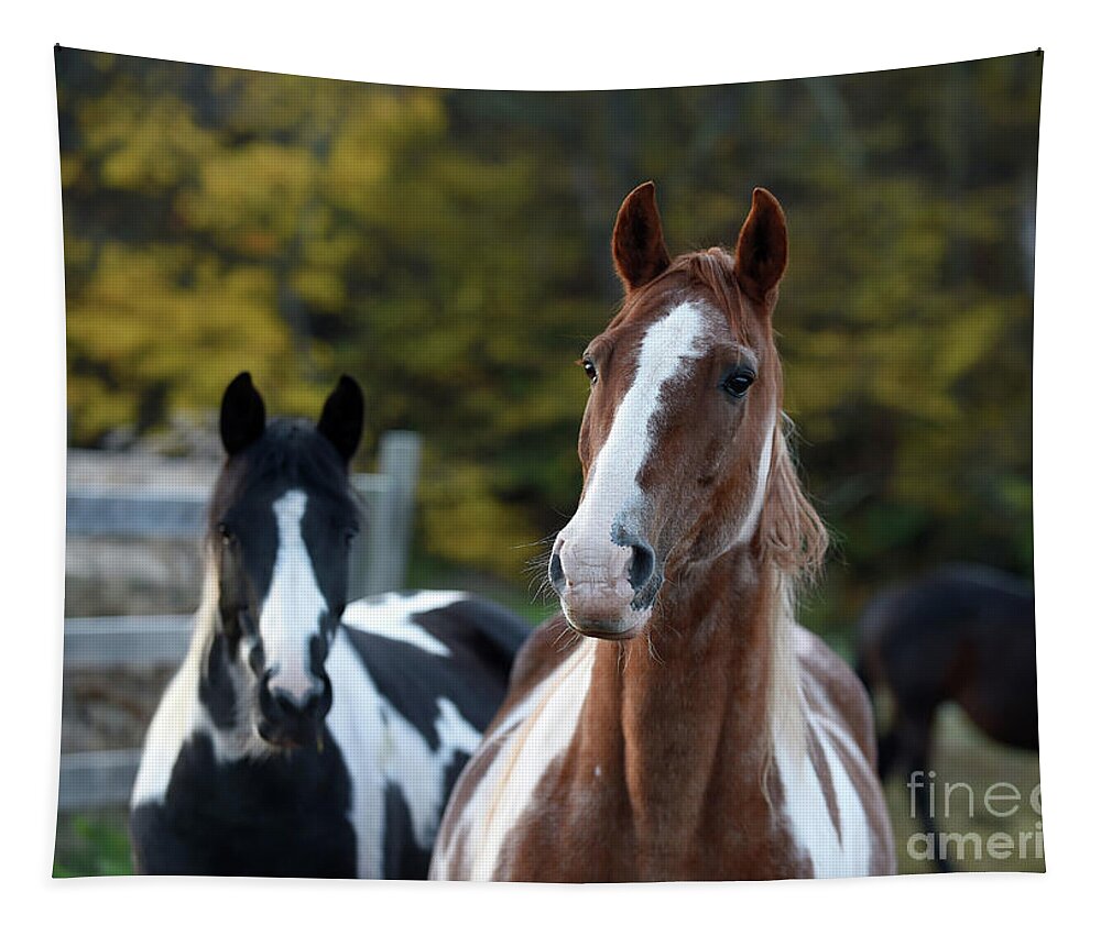 Rosemary Farm Tapestry featuring the photograph Rhett and Remy by Carien Schippers