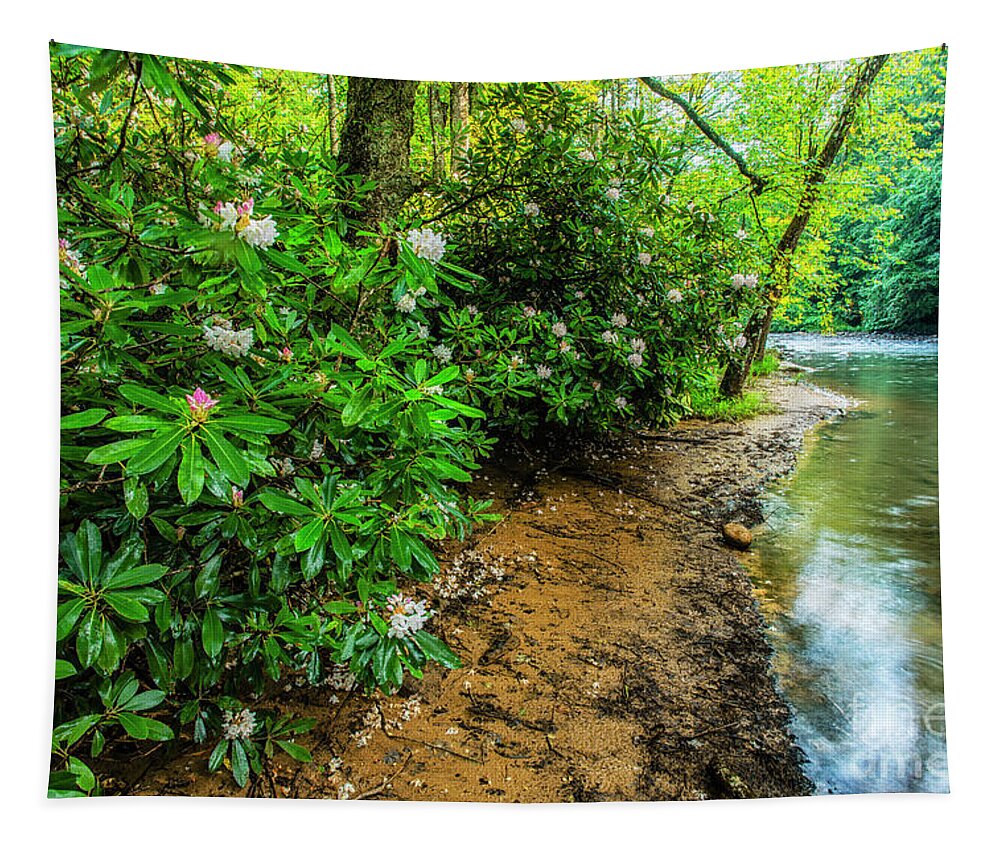 Elk River Tapestry featuring the photograph Rhododendron Blooming along the Back Fork of Elk River by Thomas R Fletcher
