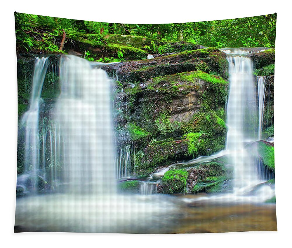 Art Prints Tapestry featuring the photograph Rhododendron Creek Waterfall 3 by Nunweiler Photography