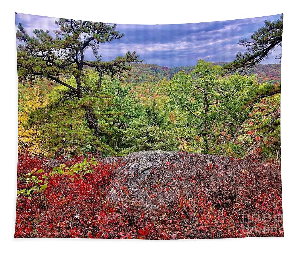 #ridge Top Tapestry featuring the photograph Ridge Top by Cornelia DeDona