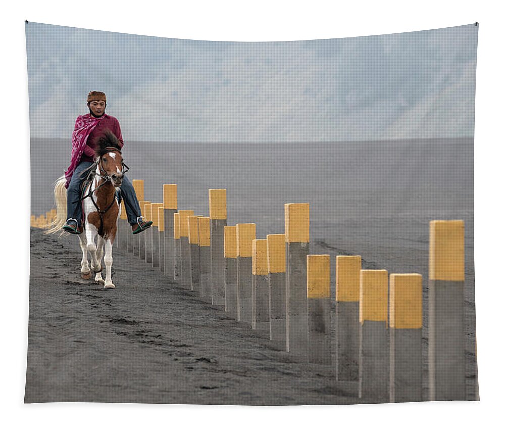 Asia Tapestry featuring the photograph Riding along the fence by Anges Van der Logt