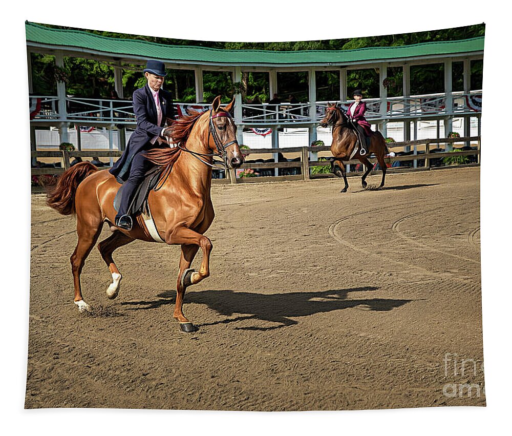 American Tapestry featuring the photograph Riding The Practice Ring by Amy Dundon