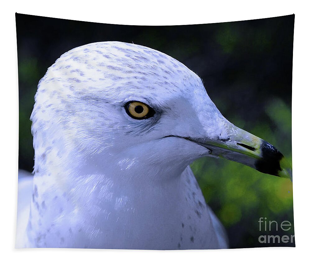 Bird Tapestry featuring the photograph Ring Billed Seagull by Elaine Manley