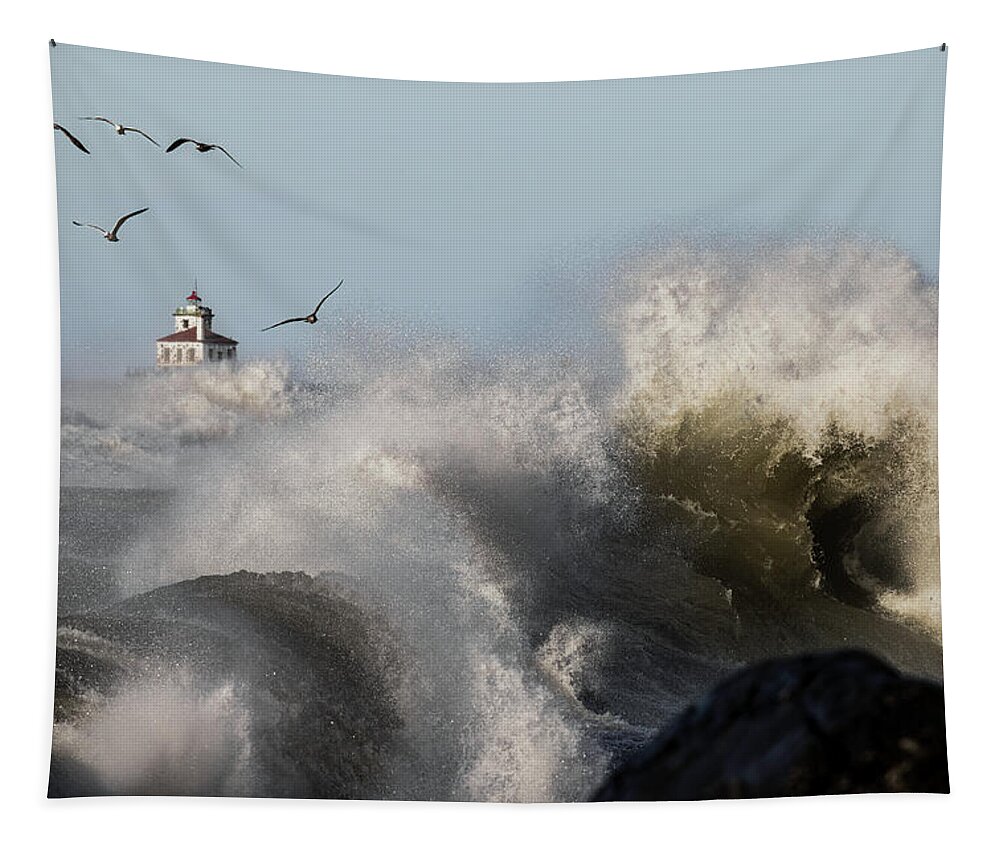 Oswego Tapestry featuring the photograph Rise Above The Turbulence by Everet Regal
