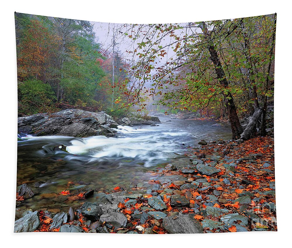 Rain Tapestry featuring the photograph River and Rain by Rick Lipscomb