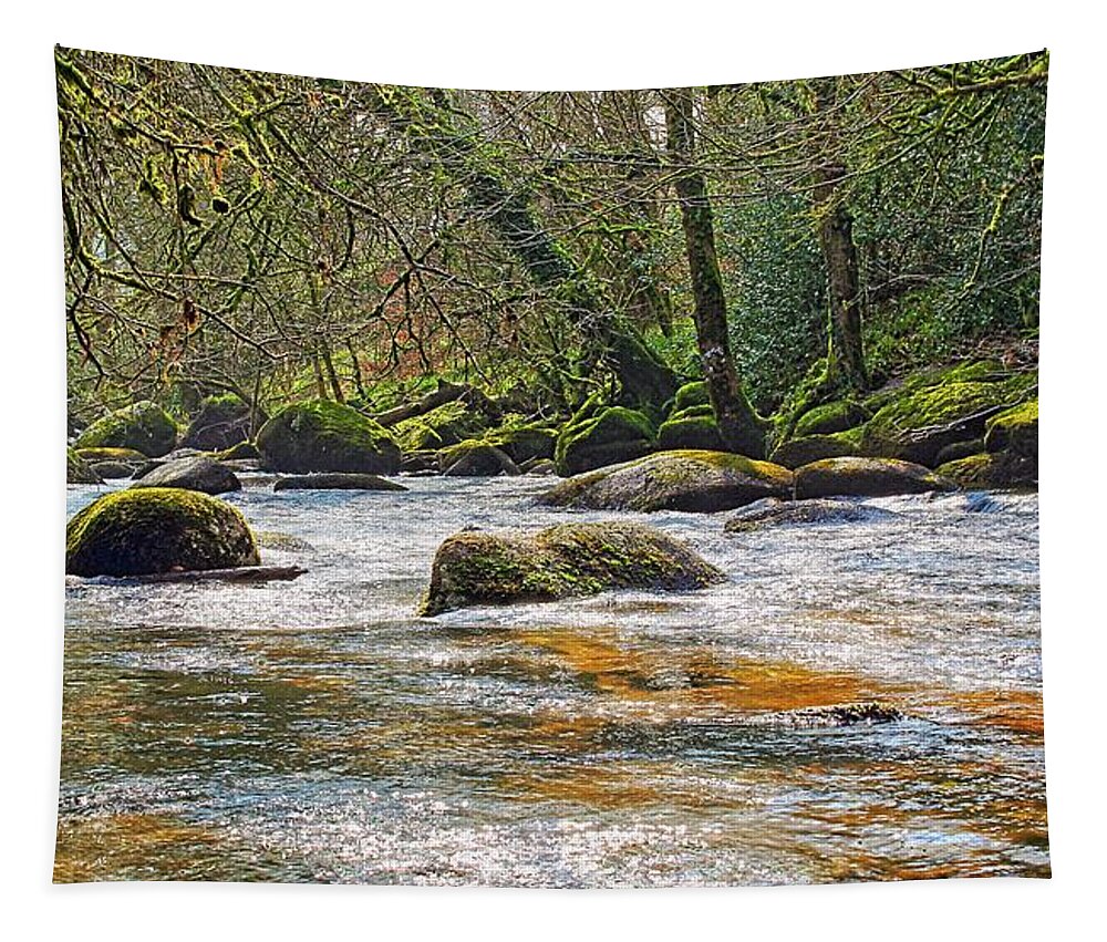River Dart Tapestry featuring the photograph River Dart in winter by Tony Mills