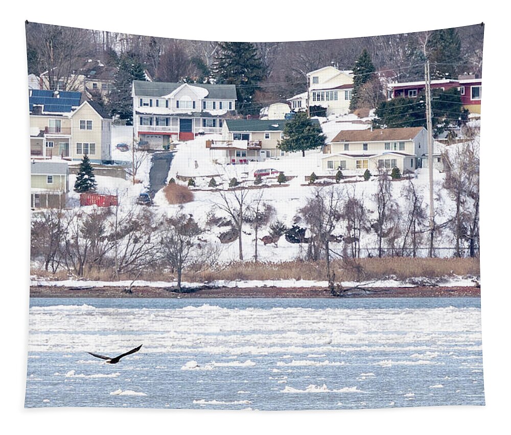 Hudson River Tapestry featuring the photograph River Ice by Kevin Suttlehan