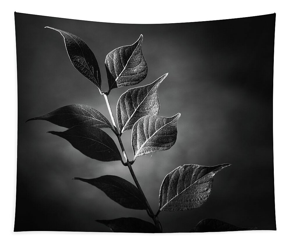 Plant Tapestry featuring the photograph River Plant Blades Black and White by Jason Fink