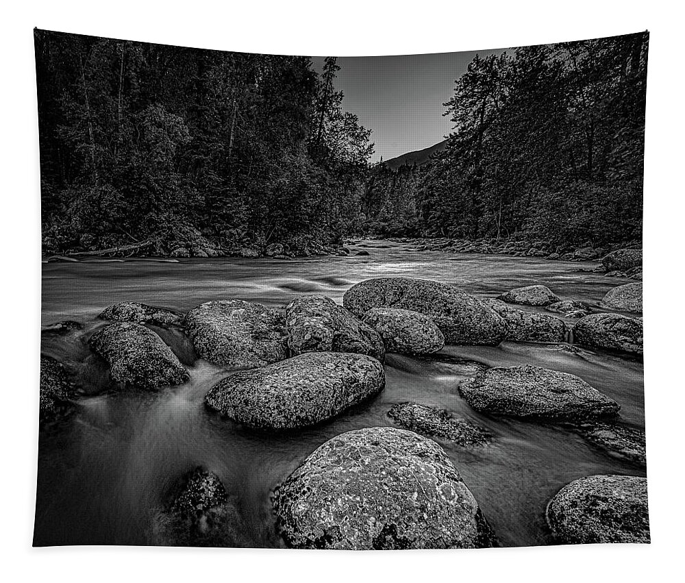 River Rocks Tapestry featuring the photograph River Rocks by David Downs