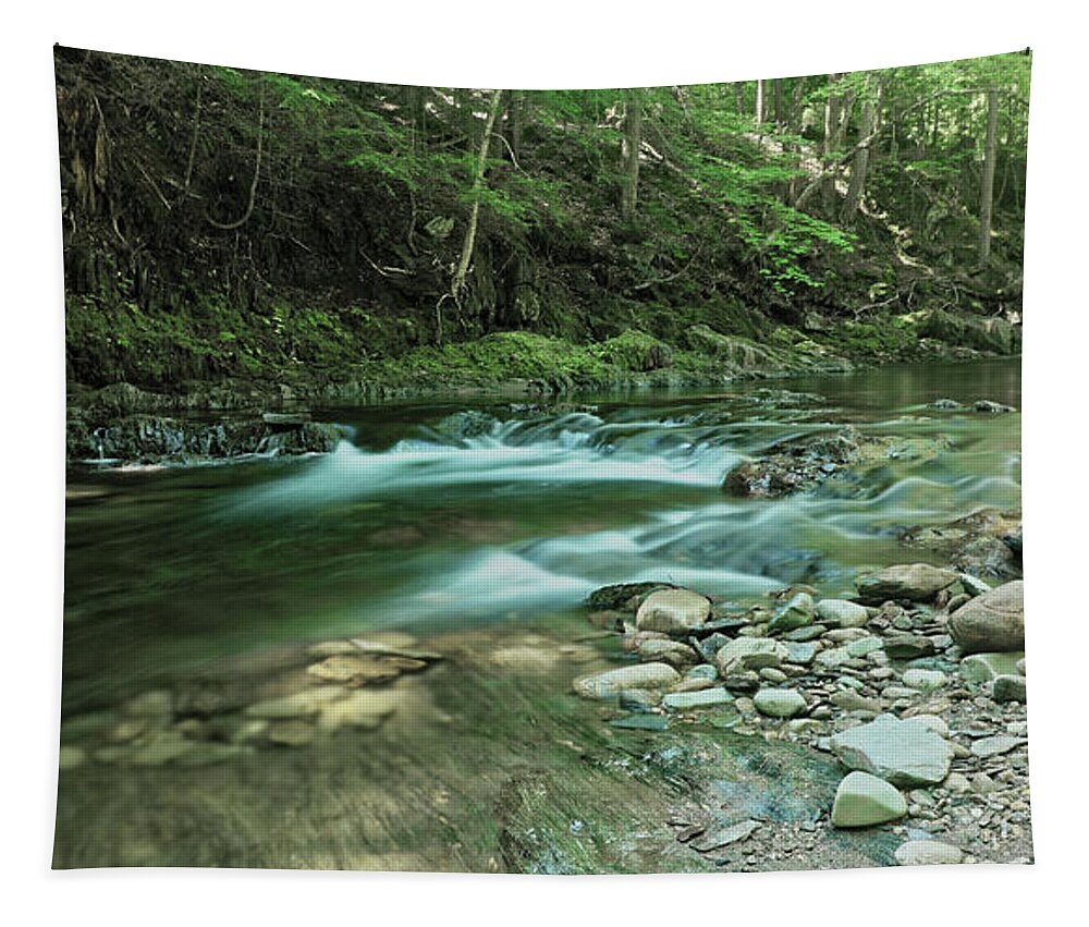 River Tapestry featuring the photograph River Rocks by Doolittle Photography and Art