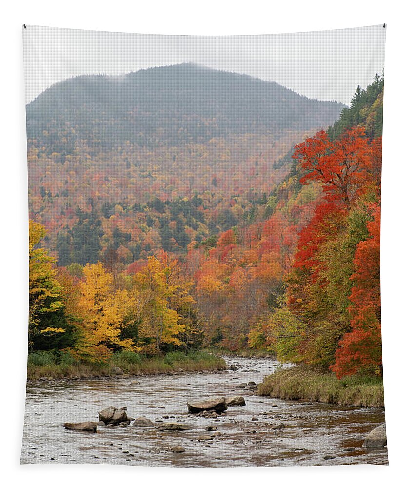 Lake Placid Tapestry featuring the photograph River Through The Adirondacks by Dave Niedbala