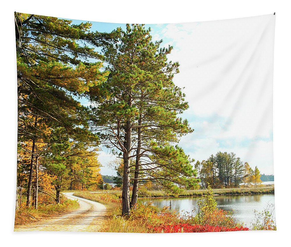 Seney National Wildlife Refuge Tapestry featuring the photograph Road Through the Wildlife Refuge by Robert Carter