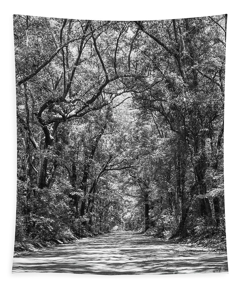 Charleston Tapestry featuring the photograph Road To Angel Oak Grayscale by Jennifer White