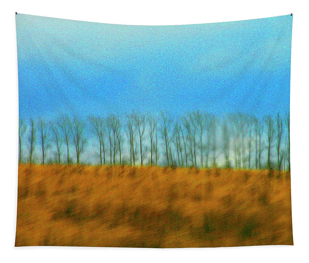 Abstract Tapestry featuring the photograph Road to Meshovsk by Robert Dann