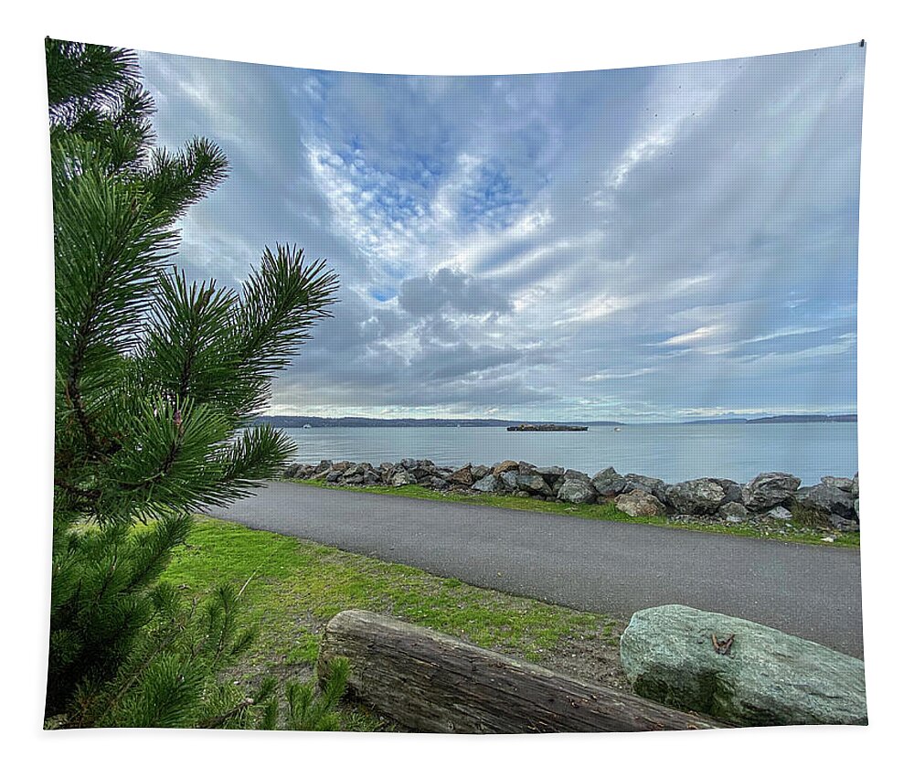 Sea Tapestry featuring the photograph Road to sea by Anamar Pictures