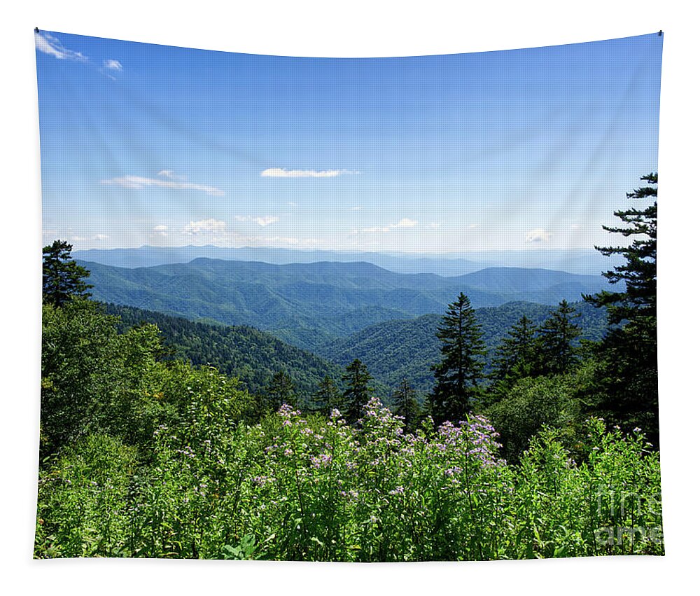 Tennessee Tapestry featuring the photograph Roadside Beauty by Phil Perkins