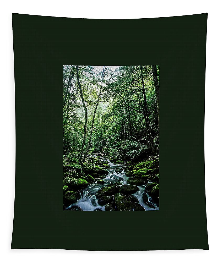 Smokies Tapestry featuring the photograph Roaring Fork Nature Trail of the Smokies by James C Richardson