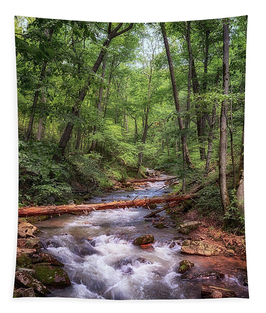 Roaring Run Tapestry featuring the photograph Roaring Run Creek - Eagle Rock Virginia by Susan Rissi Tregoning